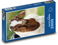 Ziege Puzzle 2000 Teile - 90 x 60 cm