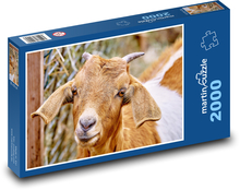 Koza s rohama Puzzle 2000 dílků - 90 x 60 cm