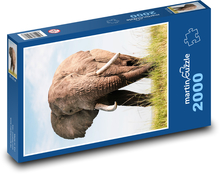 Słoń Puzzle 2000 elementów - 90x60 cm
