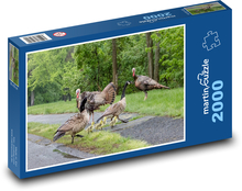 Moriak - kačica Puzzle 2000 dielikov - 90 x 60 cm