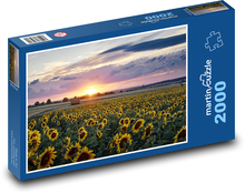 Zachód słońca - Słonecznik Puzzle 2000 elementów - 90x60 cm