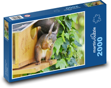 Veverička - hlodavec Puzzle 2000 dielikov - 90 x 60 cm
