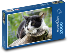 Black and white cat Puzzle 2000 pieces - 90 x 60 cm
