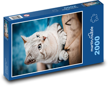 Mačka - domáce zviera Puzzle 2000 dielikov - 90 x 60 cm