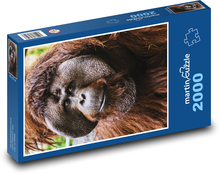 Orang-Utan - Affe Puzzle 2000 Teile - 90 x 60 cm