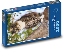 Mačka na strome Puzzle 2000 dielikov - 90 x 60 cm