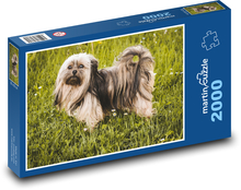 Pes - Bolognese Puzzle 2000 dielikov - 90 x 60 cm