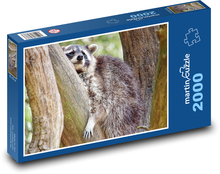 Mýval na stromě Puzzle 2000 - 90x60 cm