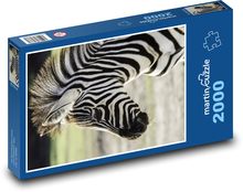 Zebra Puzzle 2000 dielikov - 90 x 60 cm