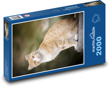 Hrdzavá mačka Puzzle 2000 dielikov - 90 x 60 cm