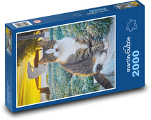 Kot Puzzle 2000 elementów - 90x60 cm