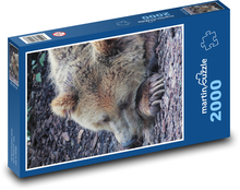 Śpiący niedźwiedź Puzzle 2000 elementów - 90x60 cm