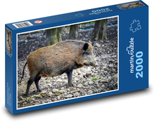 Dzik w lesie Puzzle 2000 elementów - 90x60 cm