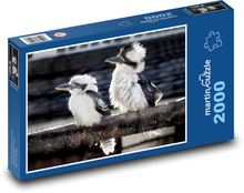 Kookaburra - ptactvo Puzzle 2000 - 90x60 cm