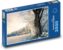 A frozen lake Puzzle 2000 pieces - 90 x 60 cm