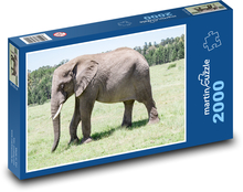 Slon Puzzle 2000 dielikov - 90 x 60 cm
