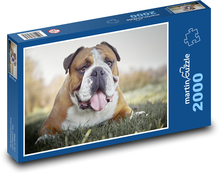 Buldok - pes Puzzle 2000 dílků - 90 x 60 cm