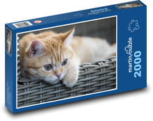 Mačka v prútenom koši Puzzle 2000 dielikov - 90 x 60 cm
