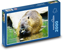 Nutrie Puzzle 2000 dielikov - 90 x 60 cm