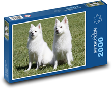 Spitz - Hund Puzzle 2000 Teile - 90 x 60 cm