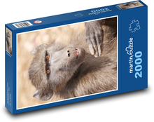 Monkey - baboon Puzzle 2000 pieces - 90 x 60 cm