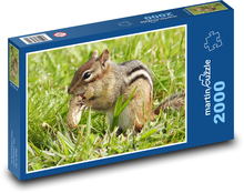 Veverka - arašíd Puzzle 2000 dílků - 90 x 60 cm