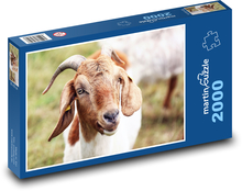 Koza Puzzle 2000 elementów - 90x60 cm