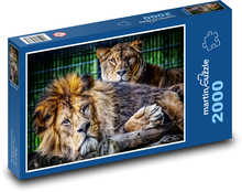 Löwe - Löwin Puzzle 2000 Teile - 90 x 60 cm