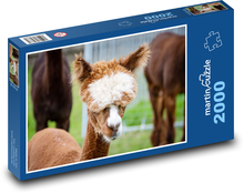 Alpaka Puzzle 2000 dílků - 90 x 60 cm