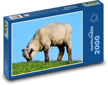 Ovce Puzzle 2000 - 90x60 cm