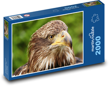 Głowa orła Puzzle 2000 elementów - 90x60 cm