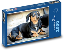 Hund - Dackel Puzzle 2000 Teile - 90 x 60 cm