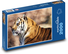 Tiger je veľká mačka Puzzle 2000 dielikov - 90 x 60 cm