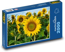 Sunflower Puzzle 2000 pieces - 90 x 60 cm