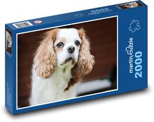 Pes - King Charles Spaniel Puzzle 2000 dielikov - 90 x 60 cm