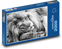 Lew - dziki kot Puzzle 2000 elementów - 90x60 cm