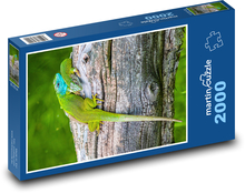 Kameleon - jaszczurka Puzzle 2000 elementów - 90x60 cm