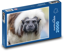 Małpa - Tamarin Puzzle 2000 elementów - 90x60 cm