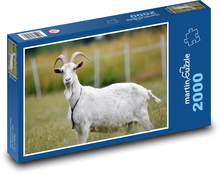 Koza Puzzle 2000 dielikov - 90 x 60 cm