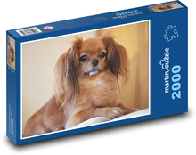Dog - Pet Puzzle 2000 pieces - 90 x 60 cm