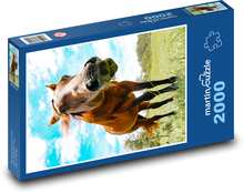 Animal - Horse Puzzle 2000 pieces - 90 x 60 cm