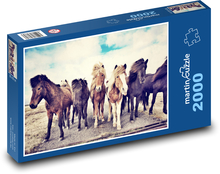Icelandic horses Puzzle 2000 pieces - 90 x 60 cm
