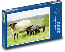 Ovce Puzzle 2000 dielikov - 90 x 60 cm