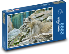 Puma Puzzle 2000 elementów - 90x60 cm