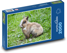 Rabbit Puzzle 2000 pieces - 90 x 60 cm