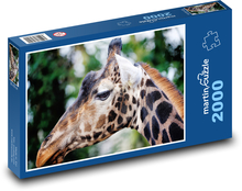 Żyrafa Puzzle 2000 elementów - 90x60 cm