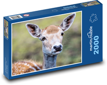 Daněk evropský - kolouch Puzzle 2000 dílků - 90 x 60 cm