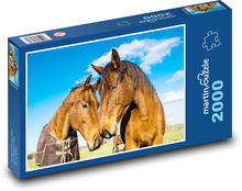 Pferde Puzzle 2000 Teile - 90 x 60 cm