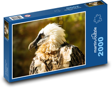 Vousatý sup - pták Puzzle 2000 dílků - 90 x 60 cm