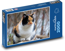 Cat top Puzzle 2000 pieces - 90 x 60 cm